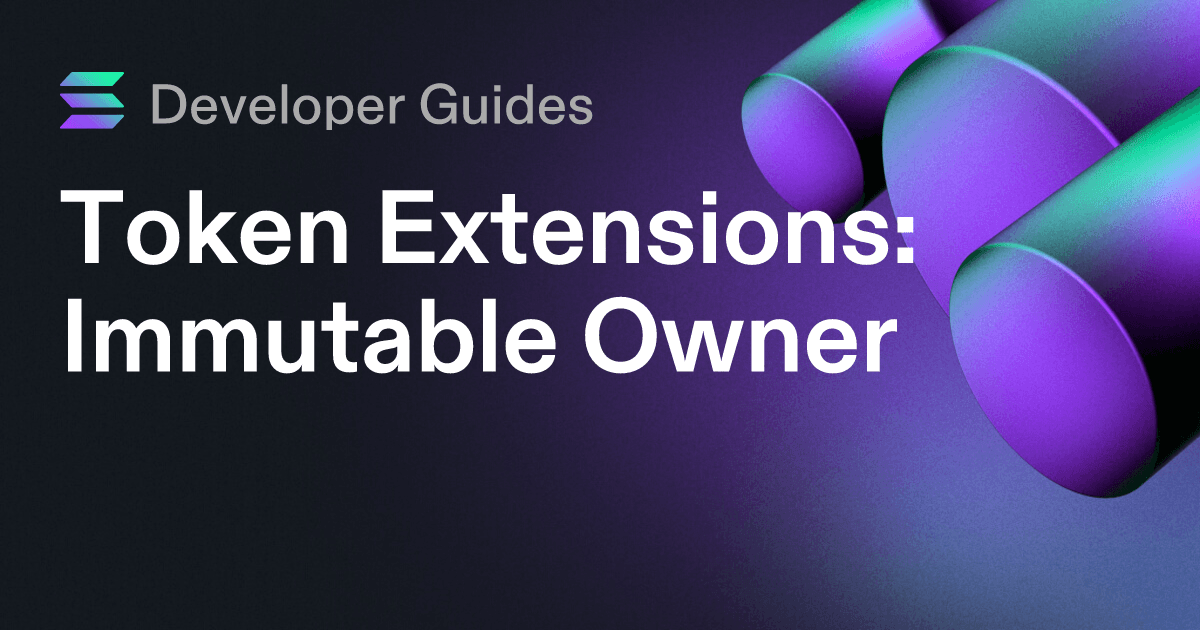 How to use the Immutable Owner extension